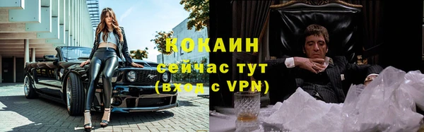 шишки Армянск
