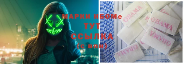 шишки Армянск