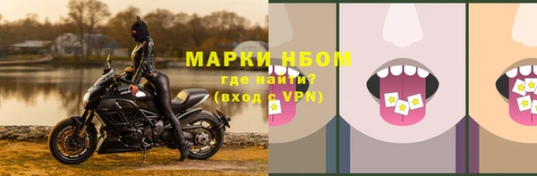спайс Арсеньев