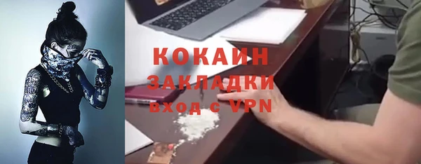 шишки Армянск