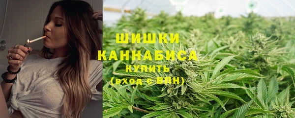шишки Армянск