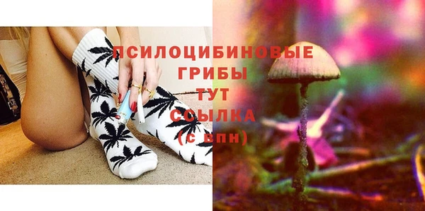 гидра Аркадак