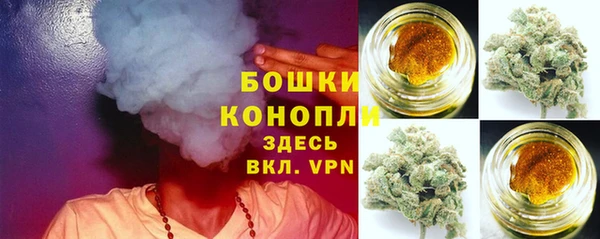 гидра Аркадак