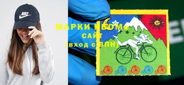 шишки Армянск