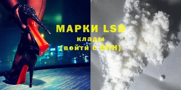шишки Армянск
